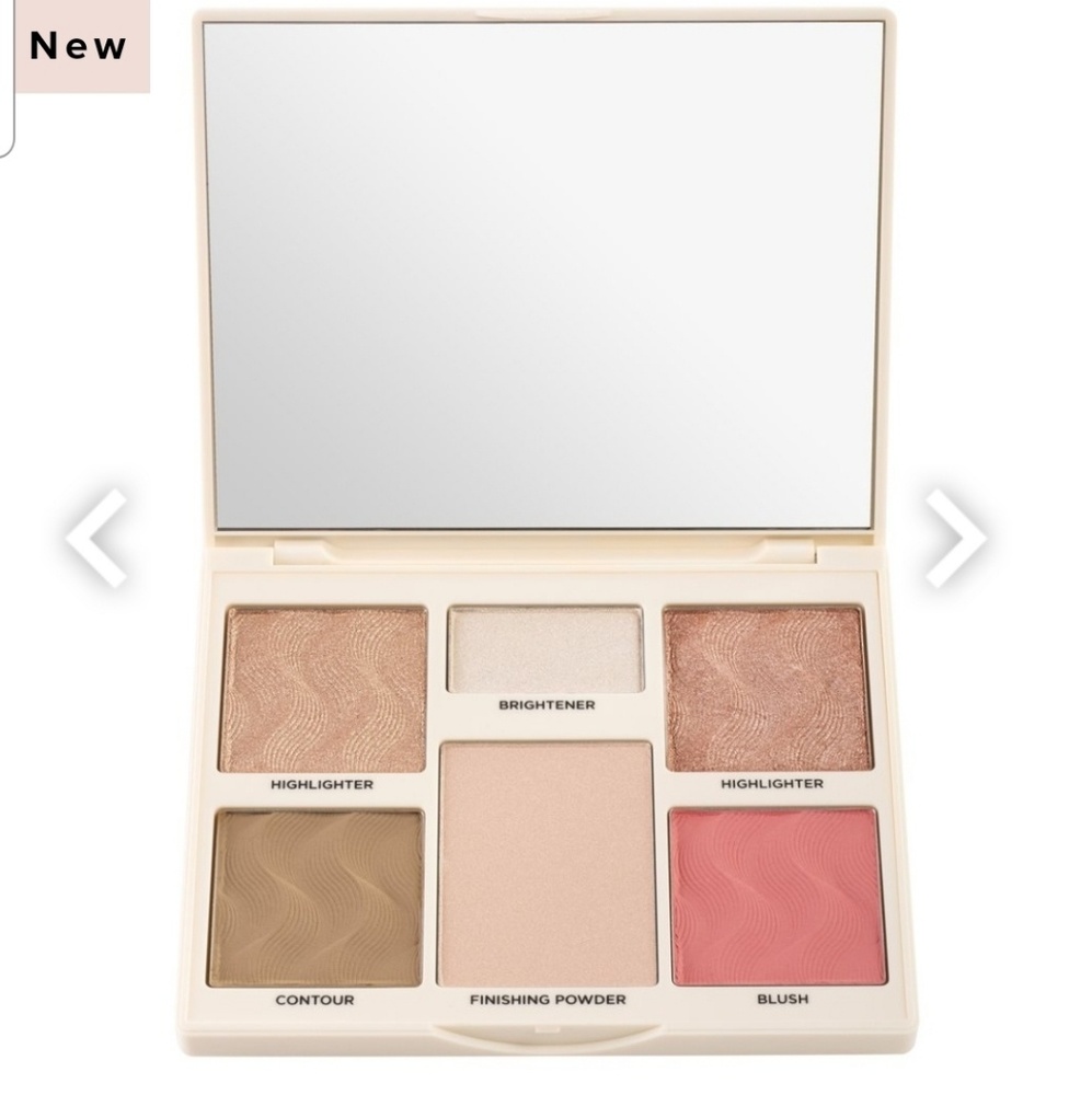 COVER FX Perfector Face Pallette New Light Medium